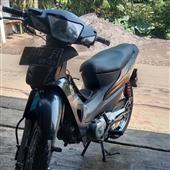 Bị tri