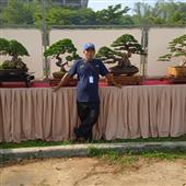 Lời ng