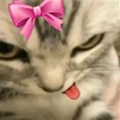 Cuộc c