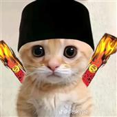 Quảng 