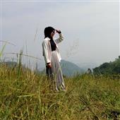 Ảnh bó