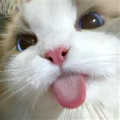 Nhận t
