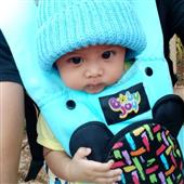 สัตว์เ