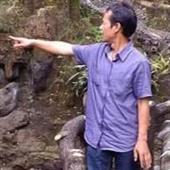 Ai cập