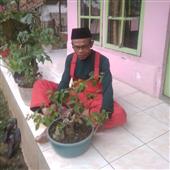 Lịch t
