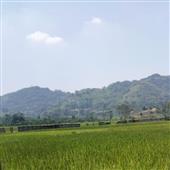 Soi kè