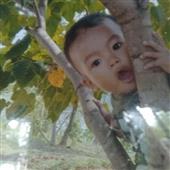 Sherlo