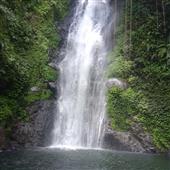 Học cá