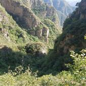Biển L