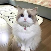 Cách đ