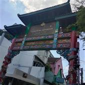 Lịch t
