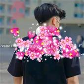 Linh H