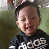 Lịch t
