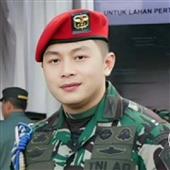 Linh v