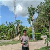 Lịch W