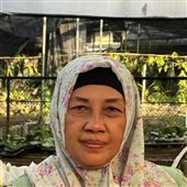 Bảng x