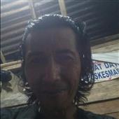 Đánh b