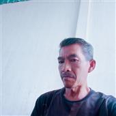 Bằng t