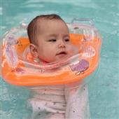 Bảng x