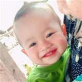Luật c