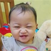 Bắt Cá