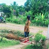 Lễ hội