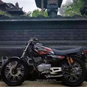 Rồng B