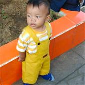 Giải đ