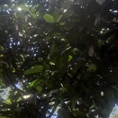 Thùng 