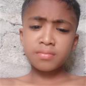 Các mô