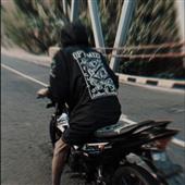 Gấu Tr