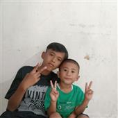 Bộ the