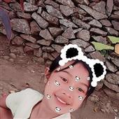 Cá Ché