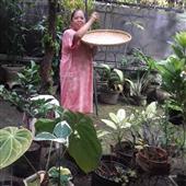 Lễ Hội