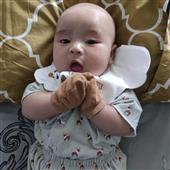 Bảng x