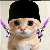 Lịch t