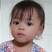 Tung x