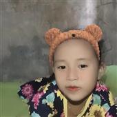 Đội bơ