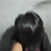 Cây Há