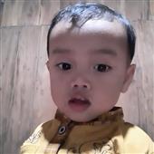 Sự Trỗ