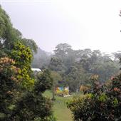 số phậ