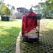 Bằng t