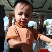Cung T