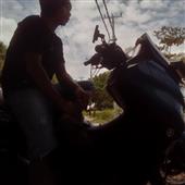 Đô vật
