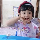 Gấu Tr