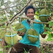Các độ