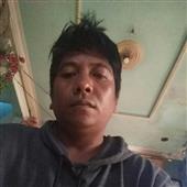 gấu tr