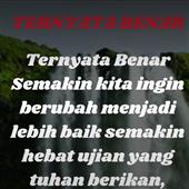 Xem tr