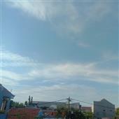 Binh