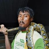 6 mặt 